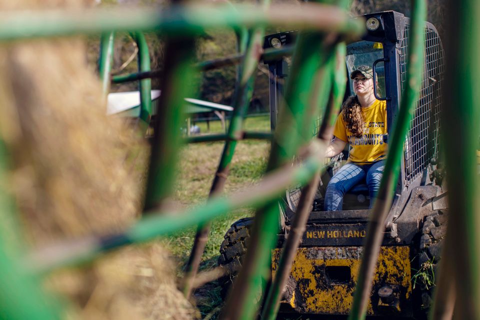 A student using a tractor to load hay at WVU Potomac State College. 