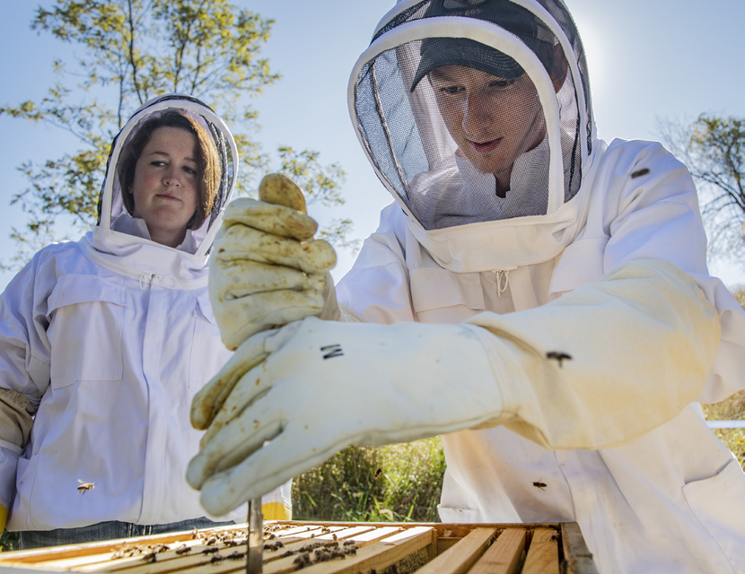 Beekeepers at WVU Potomac State College