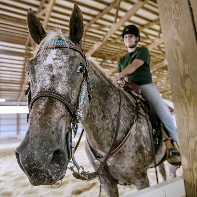 An equine student rides a horse in the Riding Arena at WVU Potomac State College.